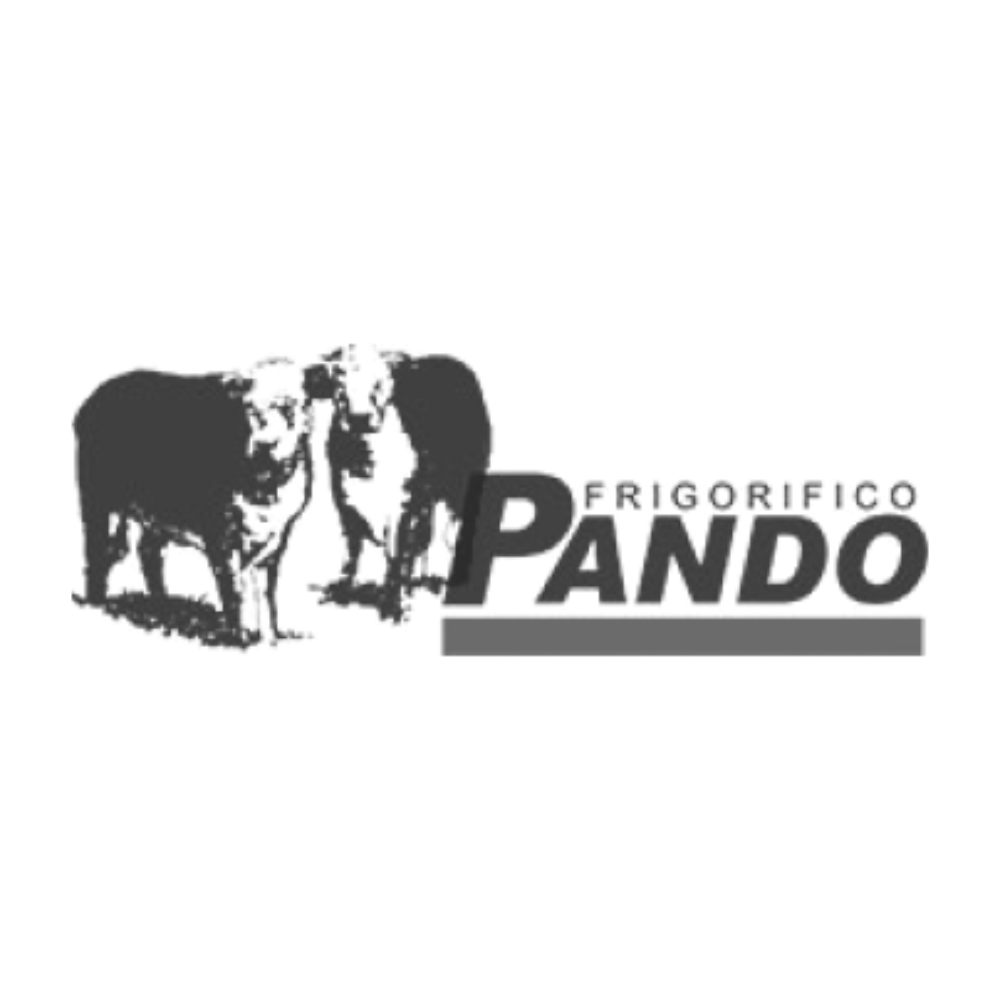 Pando